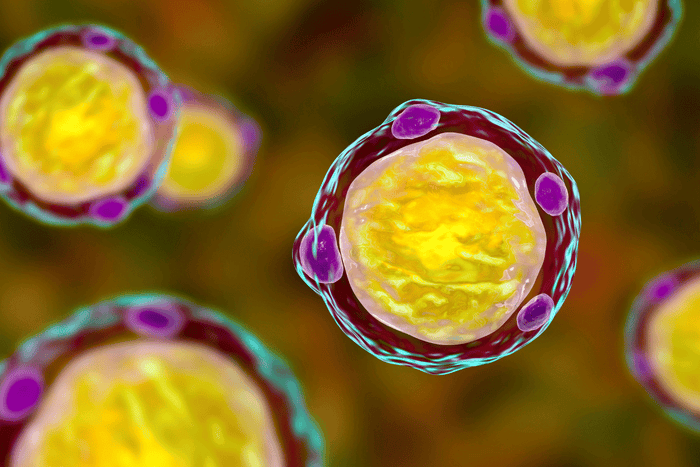 Tulehdus ja kolesteroli