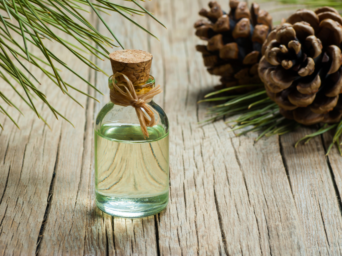 Kasvisteroli- ja stanoli alentaa tehokkaasti korkeaa kolesterolia